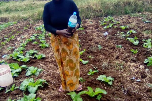 gloria-lema-applying-carbon-and-biopesticides-in-her-vegetable-farm-min96B0F428-0B82-C0D5-9121-489E2D53D578.jpg